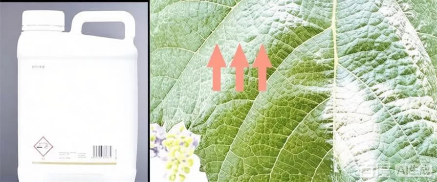 Agriculture and Silicon Fertilizer Industry